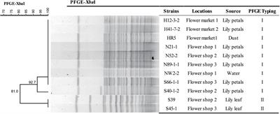 Emergence of fosA3 and blaCTX–M–14 in Multidrug-Resistant Citrobacter freundii Isolates From Flowers and the Retail Environment in China